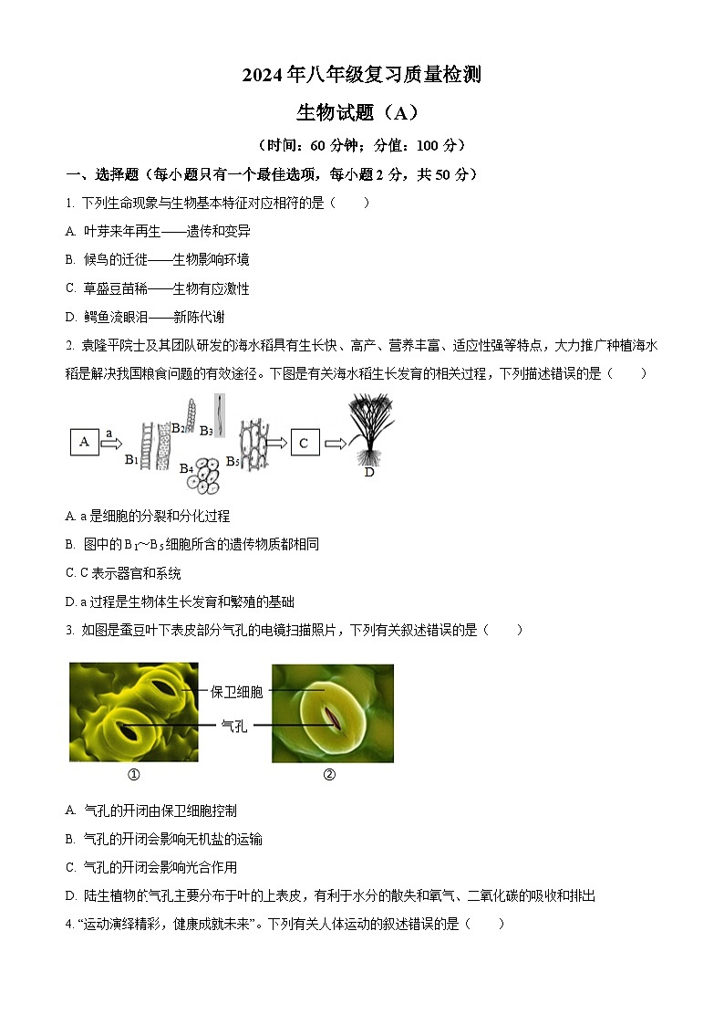 2024年山东省滨州市滨城区中考一模生物试题（原卷版+解析版）01