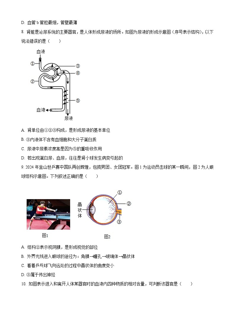2024年山东省滨州市滨城区中考一模生物试题（原卷版+解析版）03