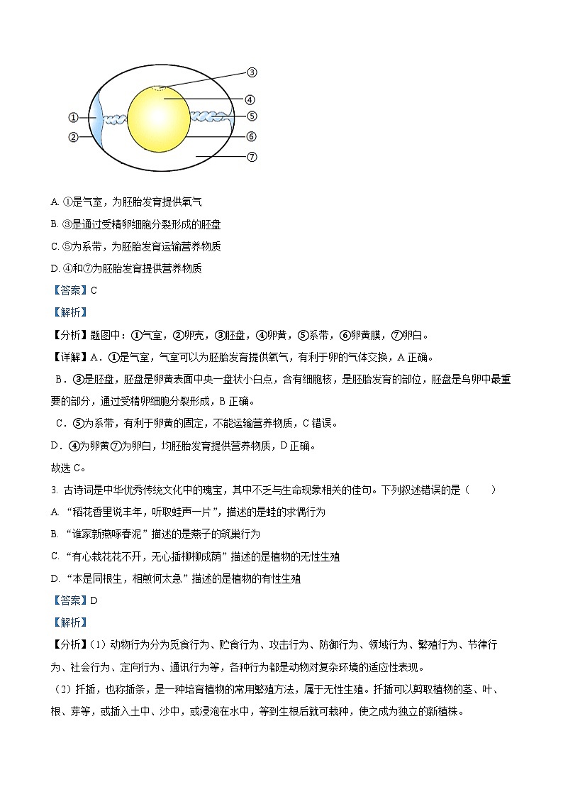 安徽省马鞍山市外国语学校分校2023-2024学年八年级下学期期中生物试题（原卷版+解析版）02
