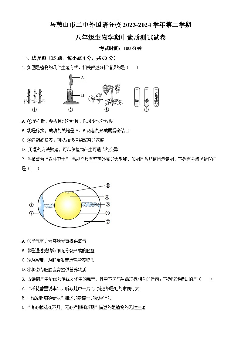 安徽省马鞍山市外国语学校分校2023-2024学年八年级下学期期中生物试题（原卷版）01