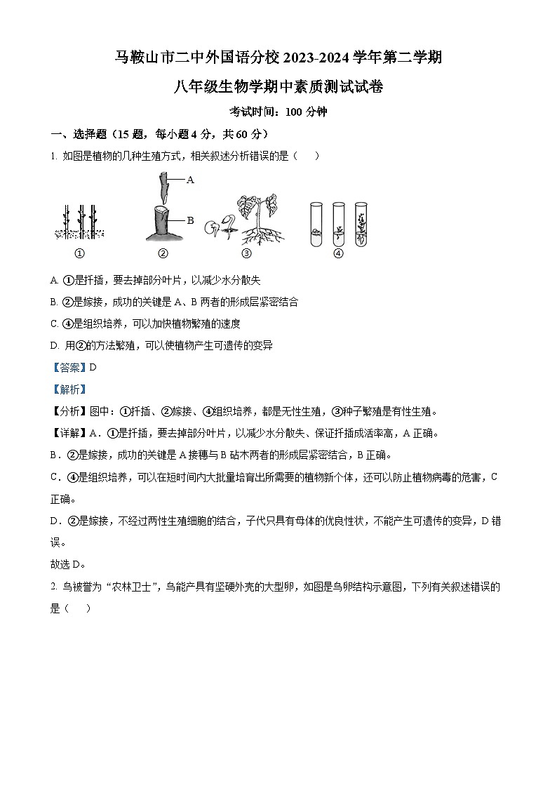 安徽省马鞍山市外国语学校分校2023-2024学年八年级下学期期中生物试题（解析版）01
