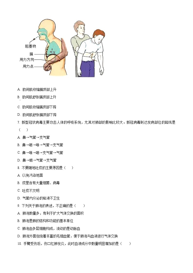 重庆市开州区开州初中教育集团2023-2024学年七年级下学期期中生物试题（原卷版）第2页