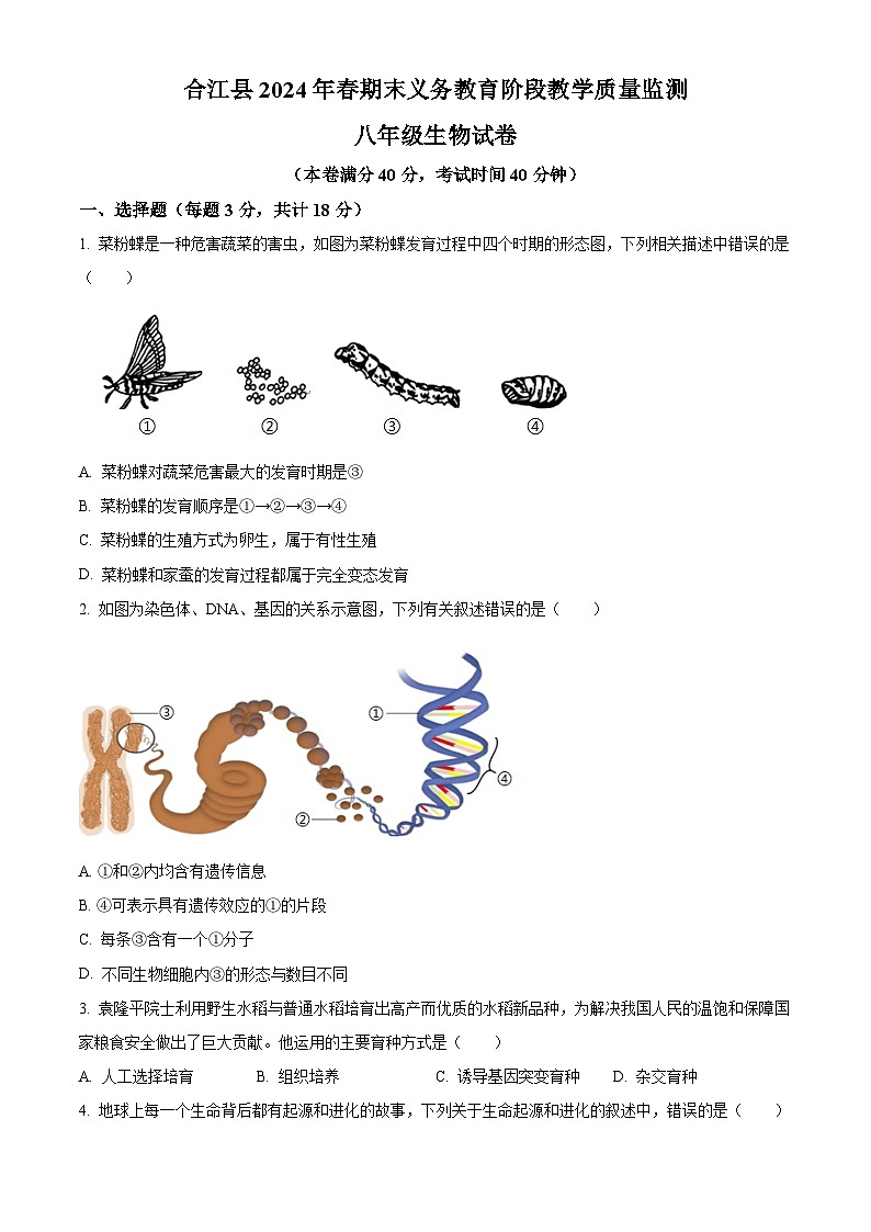 四川省泸州市合江县2023-2024学年八年级下学期期末生物学试题（原卷版）01