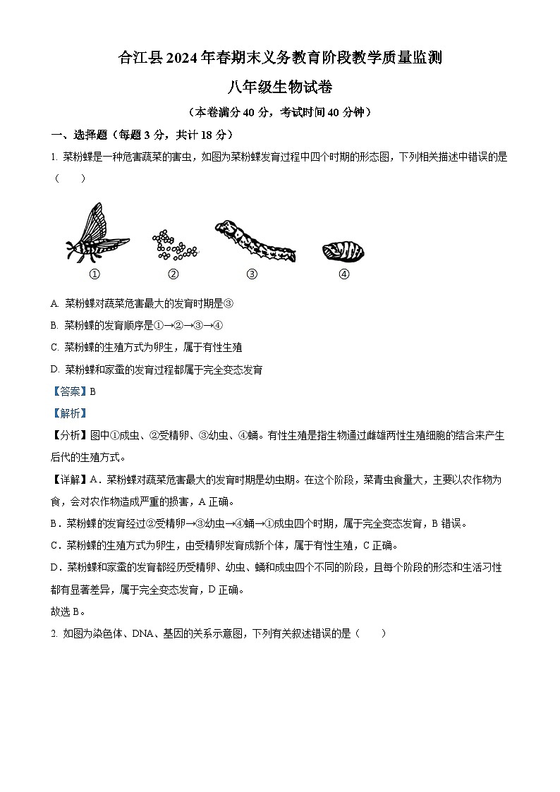 四川省泸州市合江县2023-2024学年八年级下学期期末生物学试题（解析版）01