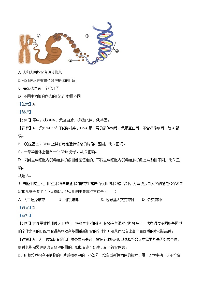 四川省泸州市合江县2023-2024学年八年级下学期期末生物学试题（解析版）02