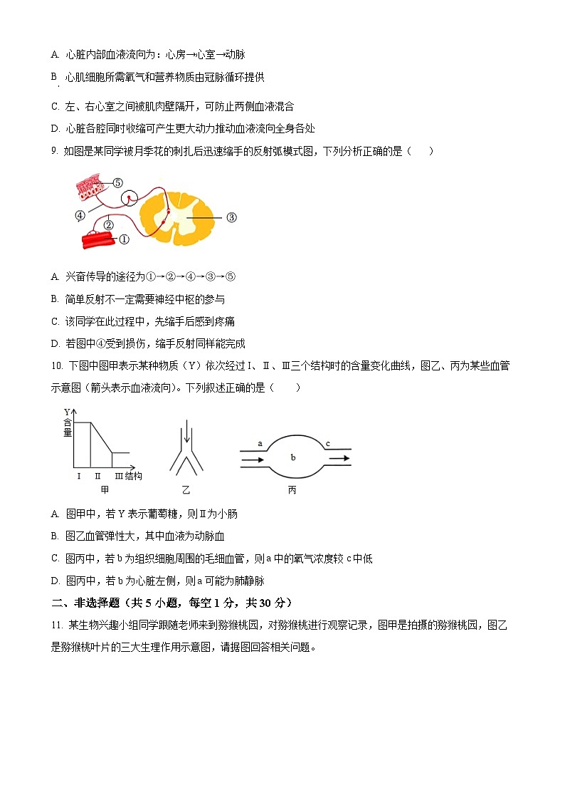 湖北省襄阳市保康县2023-2024学年七年级下学期期末生物学试题（原卷版）03