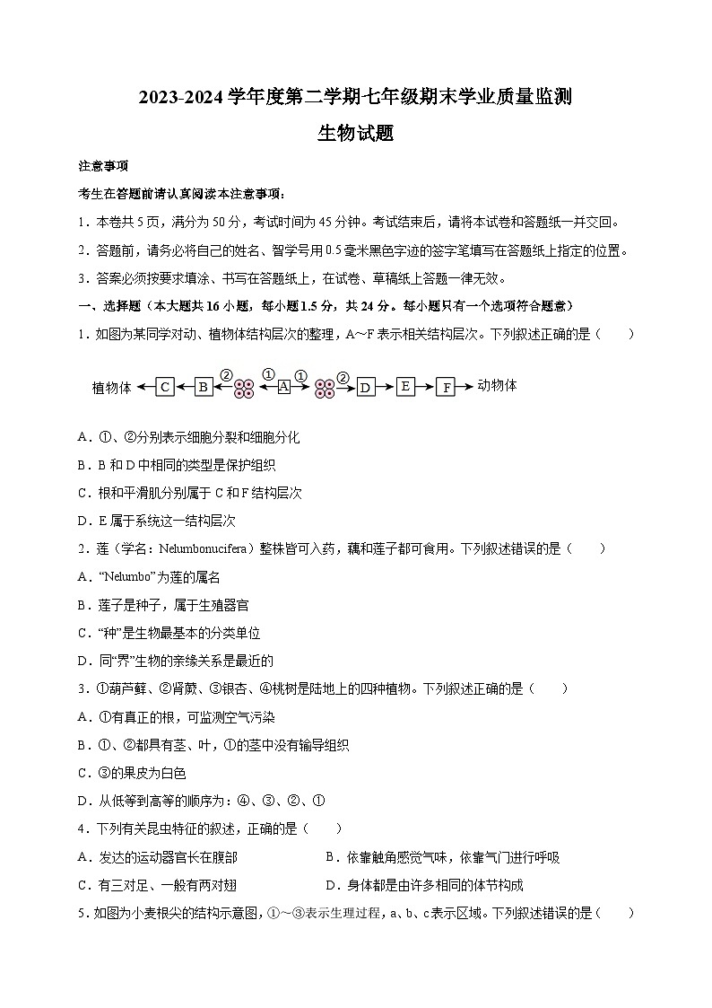 江苏省南通市如皋市2023-2024学年七年级下学期期末生物试题（含答案解析）第1页