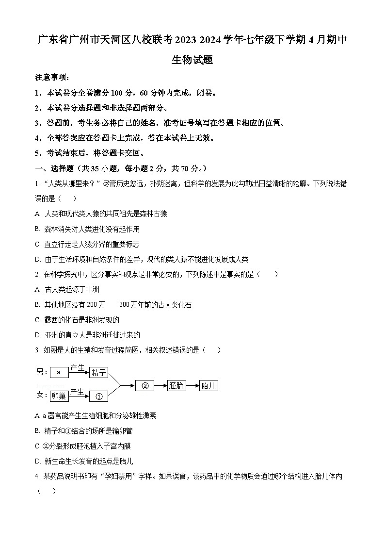 广东省广州市天河区八校联考2023-2024学年七年级下学期期中生物试题（原卷版+解析版）01