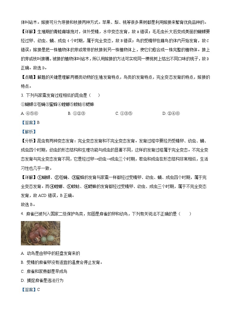 河南省南阳市名校联考2023-2024学年八年级下学期期中生物试题（原卷版+解析版）02