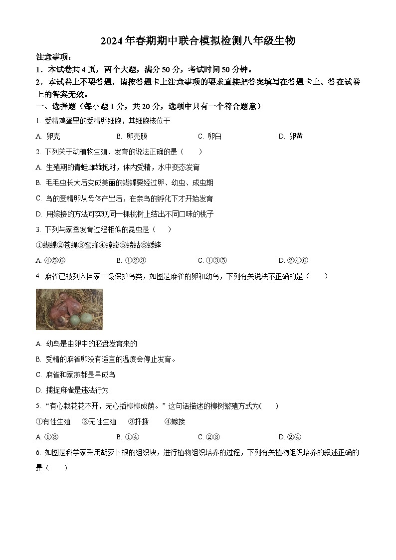 河南省南阳市名校联考2023-2024学年八年级下学期期中生物试题（原卷版+解析版）01