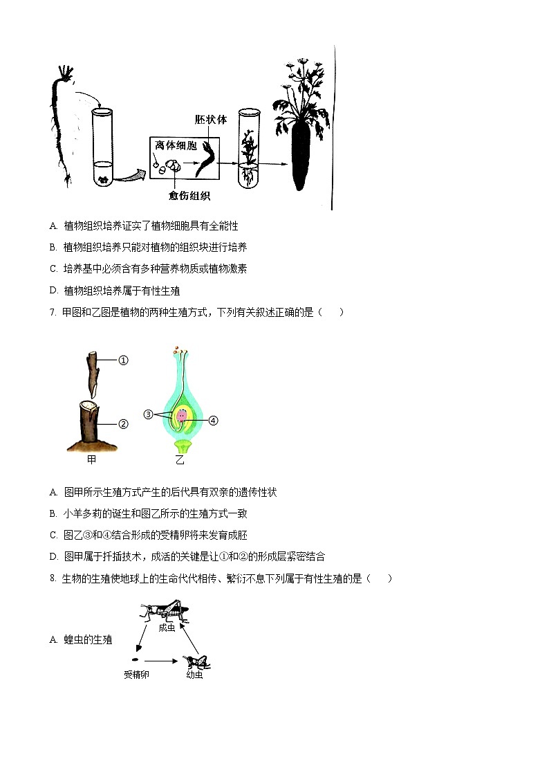 河南省南阳市名校联考2023-2024学年八年级下学期期中生物试题（原卷版+解析版）02