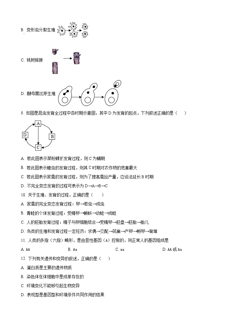 河南省南阳市名校联考2023-2024学年八年级下学期期中生物试题（原卷版+解析版）03