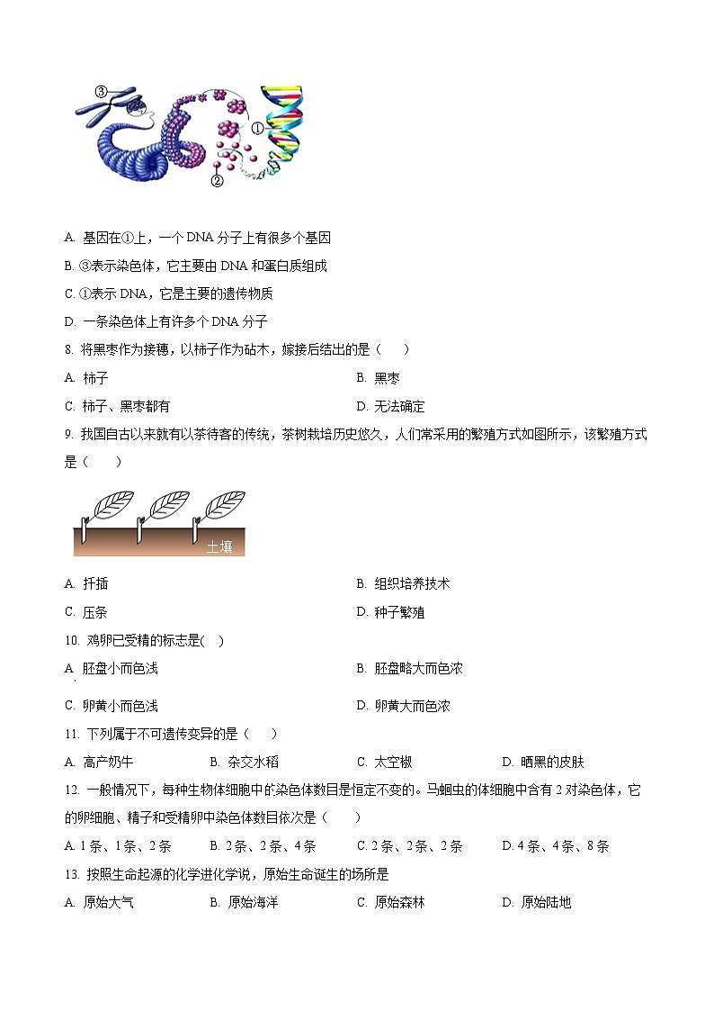 重庆市綦江区联盟校2023-2024学年八年级下学期期中生物试题（原卷版+解析版）02