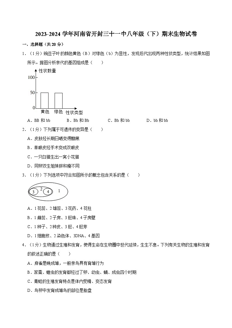 河南省开封三十一中2023-2024学年八年级下学期期末生物试卷01