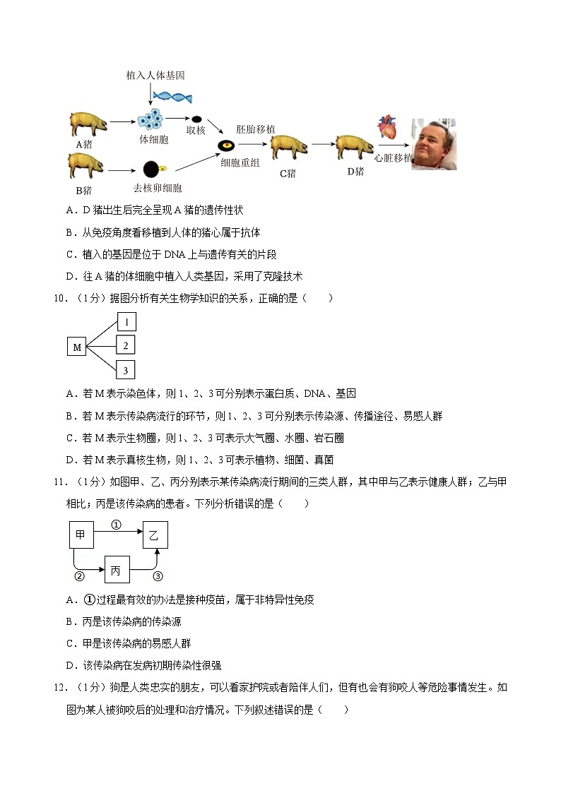 河南省开封三十一中2023-2024学年八年级下学期期末生物试卷03