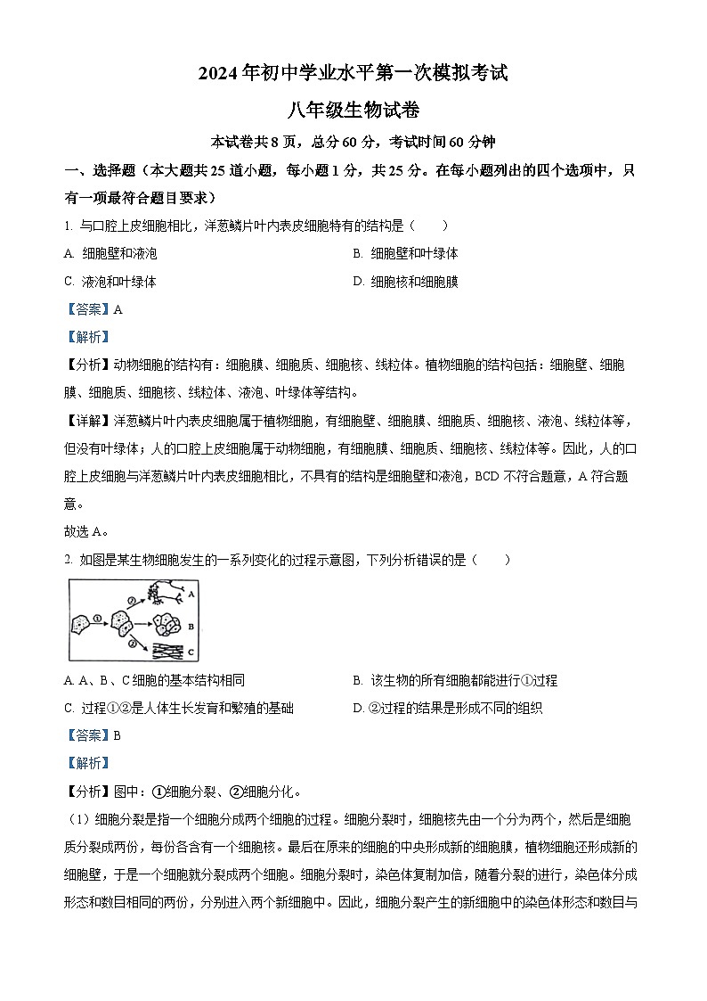 2024年河北省邯郸市邯郸经济技术开发区中学中考一模生物试题（原卷版+解析版）01