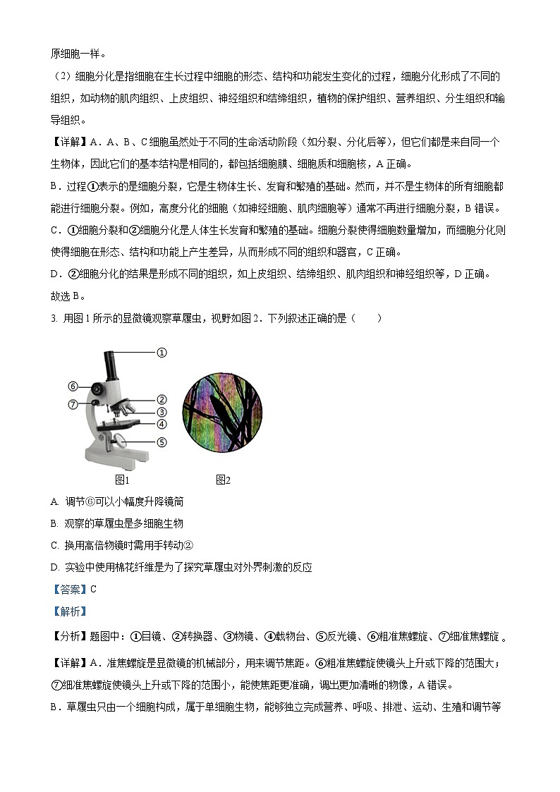 2024年河北省邯郸市邯郸经济技术开发区中学中考一模生物试题（原卷版+解析版）02