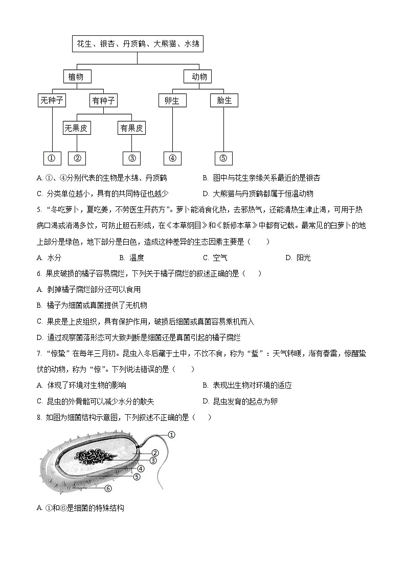 2024年河北省邯郸市邯郸经济技术开发区中学中考一模生物试题（原卷版）02