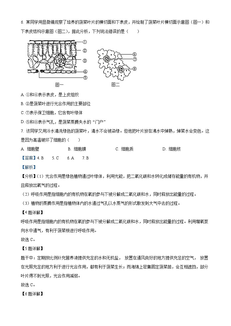 山西省朔州市右玉县右玉教育集团2023-2024学年八年级下学期期中生物试题（解析版）第3页