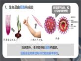 新人教版（2024）生物七年级上册--1.1.2  生物的特征 （课件）