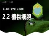 新人教版（2024）生物七年級(jí)上冊(cè)--1.2.2  植物細(xì)胞 （課件）