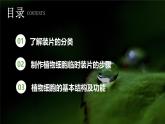 新人教版（2024）生物七年級(jí)上冊(cè)--1.2.2  植物細(xì)胞 （課件）