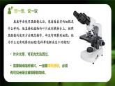 新人教版（2024）生物七年級(jí)上冊(cè)--1.2.2  植物細(xì)胞 （課件）