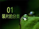 新人教版（2024）生物七年級(jí)上冊(cè)--1.2.2  植物細(xì)胞 （課件）