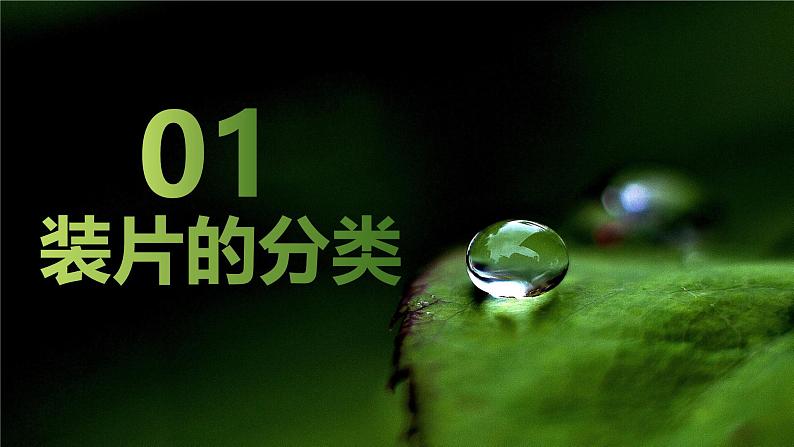 新人教版（2024）生物七年级上册--1.2.2  植物细胞 （课件）04