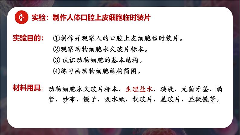 新人教版（2024）生物七年级上册--1.2.3 动物细胞 （课件）04