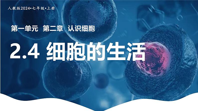 新人教版（2024）生物七年级上册--1.2.4 细胞的生活 （课件）01