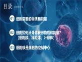 新人教版（2024）生物七年级上册--1.2.4 细胞的生活 （课件）