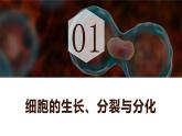 新人教版（2024）生物七年级上册--1.3.1细胞通过分裂产生新细胞（课件）