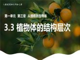 新人教版（2024）生物七年级上册--1.3.3 植物体的结构层次（课件）