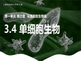 新人教版（2024）生物七年级上册--1.3.4 单细胞生物（课件）