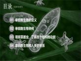 新人教版（2024）生物七年级上册--1.3.4 单细胞生物（课件）