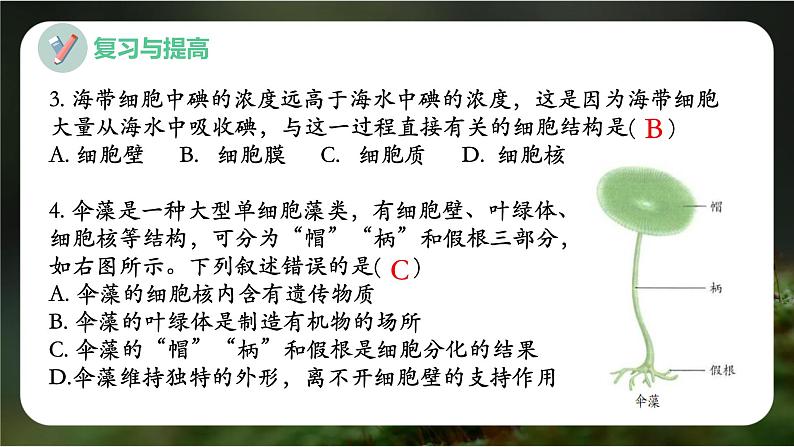 新人教版（2024）生物七年级上册--第一单元 生物和细胞 单元小结（课件）04