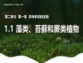 新人教版（2024）生物七年级上册--2.1.1 藻类、苔藓和蕨类植物（课件）