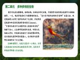 新人教版（2024）生物七年级上册--2.1.1 藻类、苔藓和蕨类植物（课件）
