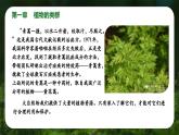 新人教版（2024）生物七年级上册--2.1.1 藻类、苔藓和蕨类植物（课件）