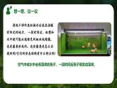 新人教版（2024）生物七年级上册--2.1.1 藻类、苔藓和蕨类植物（课件）