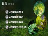 新人教版（2024）生物七年级上册--2.1.1 藻类、苔藓和蕨类植物（课件）