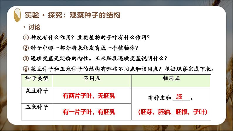 新人教版（2024）生物七年级上册--2.1.2 种子植物（课件）08