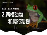 新人教版（2024）生物七年级上册--2.2.2脊椎动物（两栖动物和爬行动物）（课件）