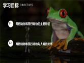 新人教版（2024）生物七年级上册--2.2.2脊椎动物（两栖动物和爬行动物）（课件）