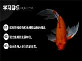 新人教版（2024）生物七年级上册--2.2.2脊椎动物（鱼）（课件）