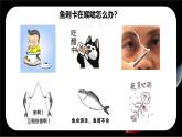 新人教版（2024）生物七年级上册--2.2.2脊椎动物（鱼）（课件）