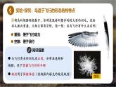 新人教版（2024）生物七年级上册--2.2.2脊椎动物（鸟类和哺乳动物）（课件）