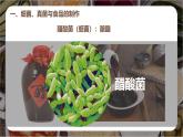 新人教版（2024）生物七年级上册--综合实践项目 利用细菌或真菌制作发酵食品（课件）