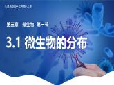 新人教版（2024）生物七年级上册--2.3.1微生物的分布（课件）